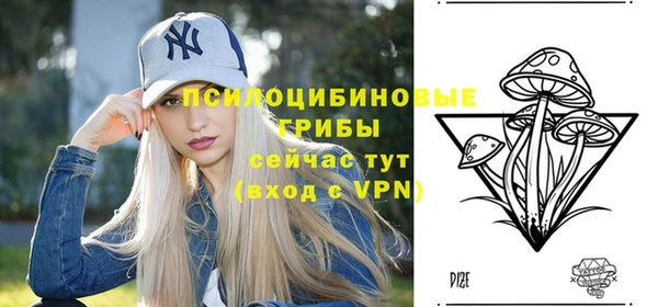 mdpv Балахна